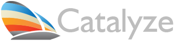 Catalyze Associates